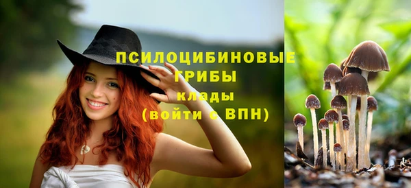 бутират Дмитров