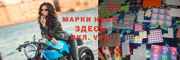 СК Дмитровск