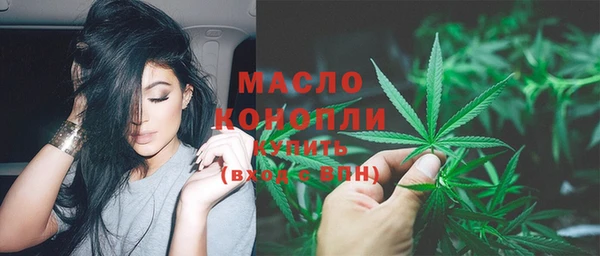 СК Дмитровск